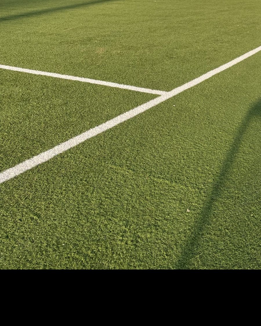 Pelouse synthétique avec lignes blanches